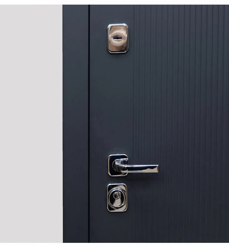 Товар Дверь Цербер SS-01 Только 96 DIS007136